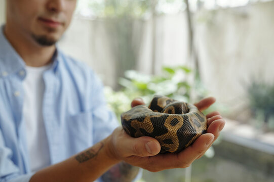 Man holding ball python while standing in outdoor garden setting with plants in background and visible tattoo on his arm