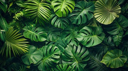 Lush green tropical foliage background. (1)