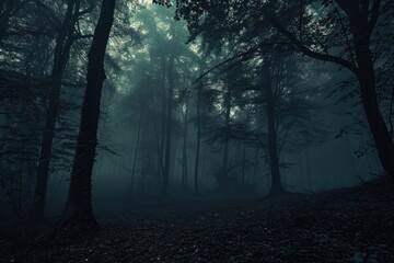 Spooky forest outdoors woodland spooky