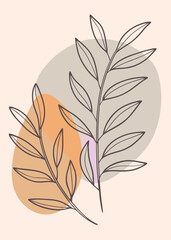 A inspired wedding invitation with daisies plants vector