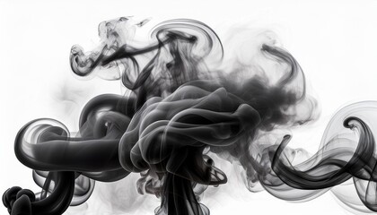 Fototapeta premium smoke on black