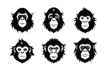 Orangutan (Pongo pygmaeus) mammal animal, labeled silhouette vector art illustration.