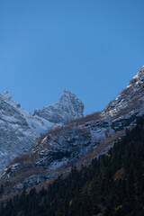 Snow-capped peaks with majestic blue slopes rise above rugged slopes of North Caucasus mountain range. Picturesque pine and spruce forests grow at foot of mountains with eternal glaciers. Dombai.