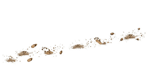 Cute Rabbit on White Background