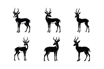Pronghorn (Antilocapra americana) mammal animal, labeled silhouette vector art illustration.