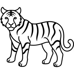  tiger 