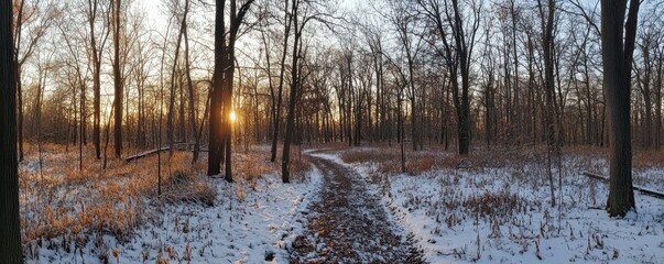 Obraz premium Morning hike through the woods, peaceful and rejuvenating.