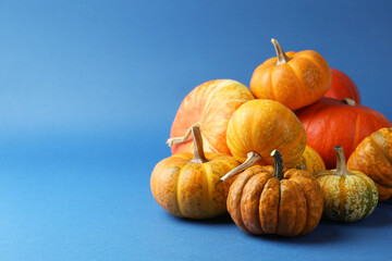 Group of fresh pumpkins on blue background, closeup. Space for text