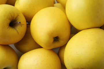Fresh ripe yellow apples as background, closeup