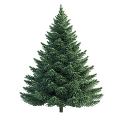 Fototapeta premium Majestic evergreen tree isolated on white background nature winter holiday Christmas symbol