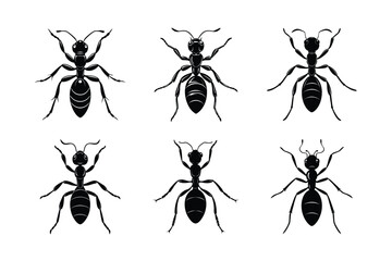Ant silhouette vector set with white background