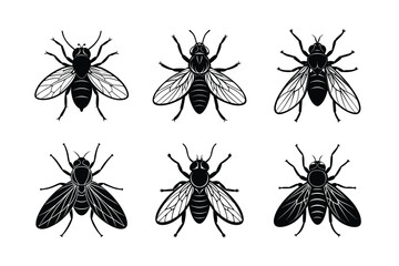 Fly silhouette vector set with white background