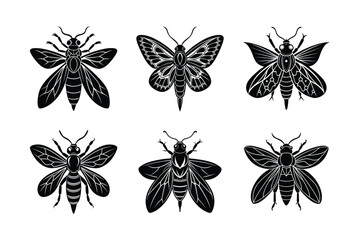 Obraz premium Meganeura silhouette vector set with white background