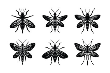 Naklejka premium Pterygote silhouette vector set with white background