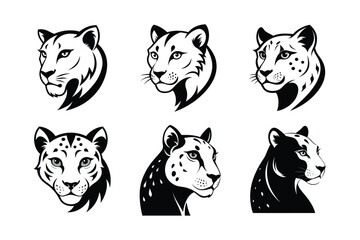 Siberian Tiger (Panthera tigris altaica) mammal animal, labeled silhouette vector art illustration.