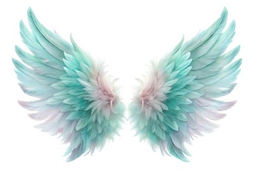 Obraz premium Pastel Blue Wings on White: Dreamy Fantasy Background Stock Photo