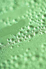 Close Up of Water Droplets Liquid Bubbles Abstract Background in Gentle Green