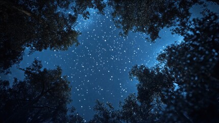 A world where the stars are close enough to touch