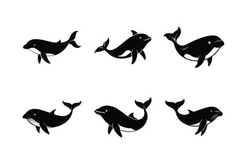Southern Right Whale (Eubalaena australis) mammal animal, labeled silhouette vector art illustration.