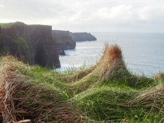Tall grass in a shape of a mountain and majestic Cliff of Moher and Atlantic ocean in the...