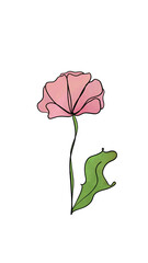 pink watercolor line art of flower. botanical natural spring design element
