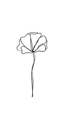 wavy ink line art of flower. transparent in drawing design element.