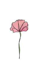 pink flower watercolor line art. digital art design element.