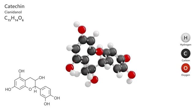 Catechin. Antioxidant. Flavonoid. Animated 3D model of a molecule. Molecular formula: C15H14O6. Chemical model: Ball and sticks. White background. 3D rendering. Seamless loop.