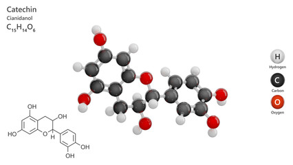 Molecule: Catechin. Antioxidant. Flavonoid. Molecular structure. Formula: C15H14O6. Chemical model: Ball and stick. White background. 3D illustration.