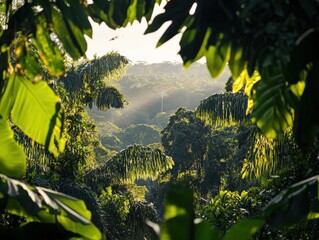 Vibrant Amazon Rainforest with Sunlight Through Dense Foliage