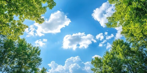 Lush green trees framing a bright blue sky with fluffy white clouds, creating a serene nature backdrop for peaceful and calming compositions.