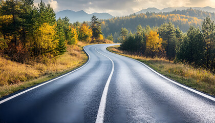 Beautiful view of asphalt road going through autumn forest top view