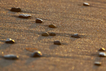 footsteps on the sand