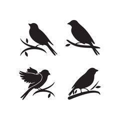 set of birds on a branch