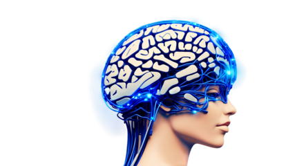 head with a brain inside