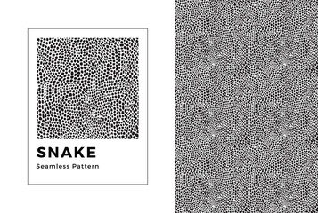 Snake seamless pattern. Black and white snake print. Vector texture. 