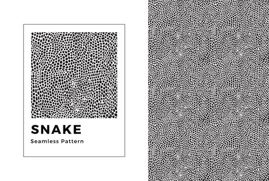 Snake seamless pattern. Black and white snake print. Vector texture. 
