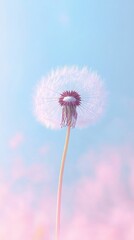 Obraz premium Dandelion Seedhead Against a Pastel Sky Background