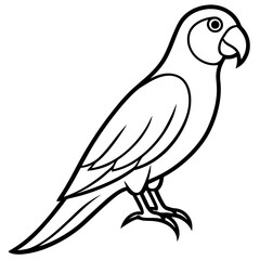 illustration of a bird