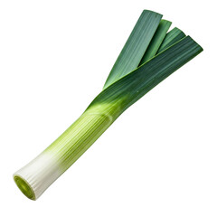 leek isolated on transparent background