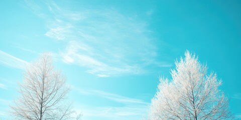 Serene winter landscape featuring two frosted trees positioned on the left and right against a vivid light blue sky with ample negative space.