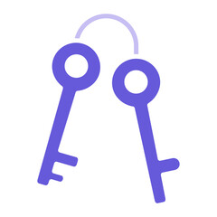 Key Icon