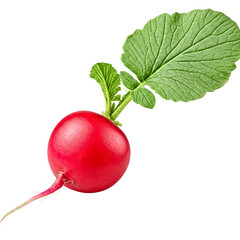 radish isolated on transparent background