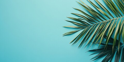 Fototapeta premium Tropical palm leaf positioned in the top right against a vibrant turquoise background creating a minimal summer aesthetic with ample copy space