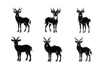 Tibetan Antelope (Pantholops hodgsonii) mammal animal, labeled silhouette vector art illustration.