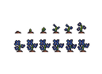 pixel art growth stages sequence sprouting blue flower Periwinkle forget-me-nots 8 bit