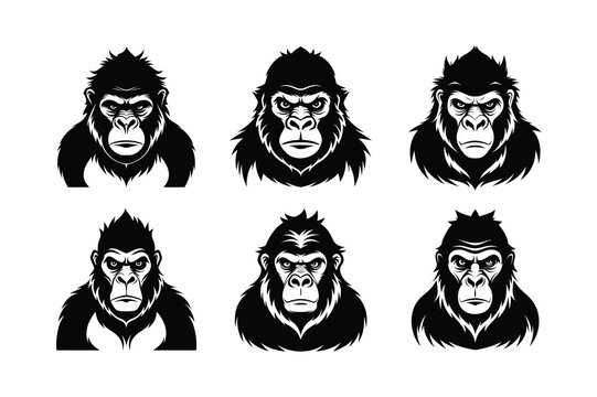 Western Lowland Gorilla (Gorilla gorilla gorill) mammal animal, labeled silhouette vector art illustration.