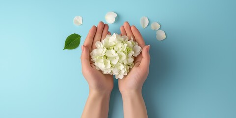 A hand holding a bunch of white flowers. The flowers are surrounded by petals and leaves. Concept of beauty and care