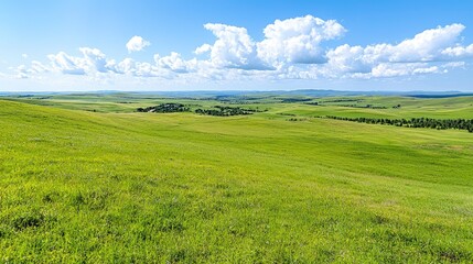 Fototapeta premium Sunny day on vast green grassland, rolling hills, blue sky, fluffy clouds. Use travel brochure