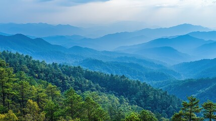 Fototapeta premium Scenic views of pristine nature